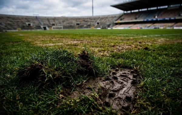 Azərbaycanda stadionların ot örtüyü niyə pis vəziyyətdədir? - Foto