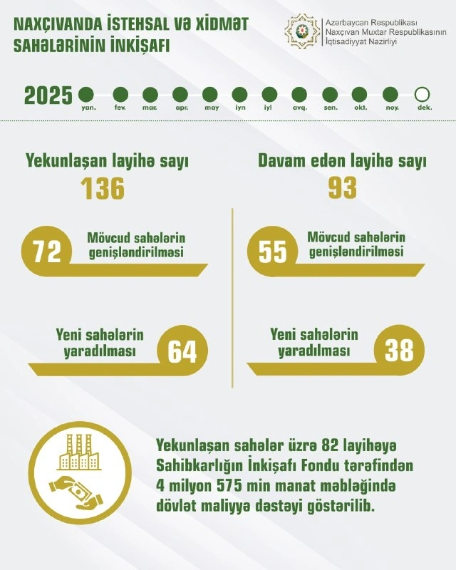 Bu il Naxçıvanda 136 layihə üzrə yeni istehsal və xidmət sahələri yaradılıb