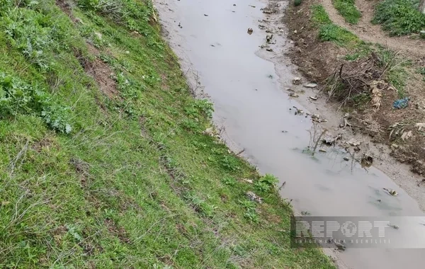 Cəlilabadın Alar kəndində problem: İncəçayın suyu niyə kəsilir? - FOTO