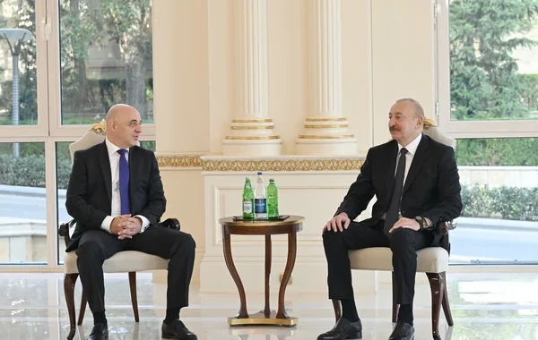 Azərbaycan Prezidenti Gürcüstanın ölkəmizə yeni təyin olunmuş səfirini qəbul edib - Foto