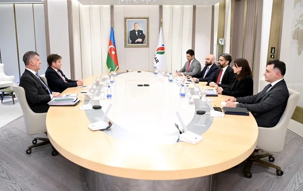SOCAR-ın prezidenti bp-nin icraçı vitse-prezidenti ilə görüşüb