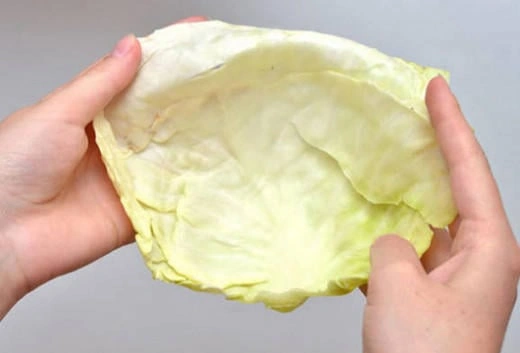 Kələmin əsas təhlükəsi açıqlandı