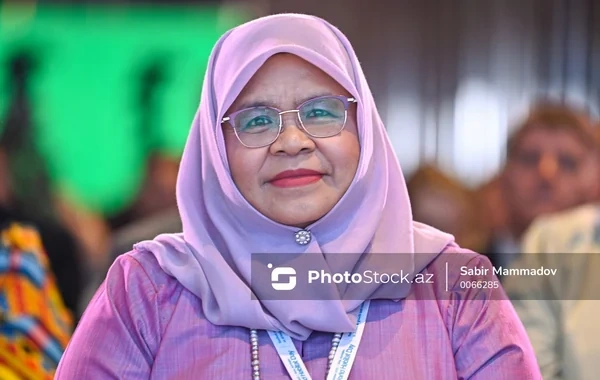 Maymuna Mohd Şarif: "Dünyada təxminən 675 milyon insanın elektrik enerjisinə çıxışı yoxdur"