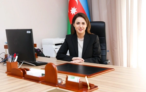 AQTA rəsmisi: "Elektron siqaretlər daha təhlükəlidir"