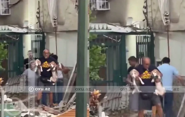 Venesuelada kişi çökən binaların altından itlərini xilas etdi - VİDEO