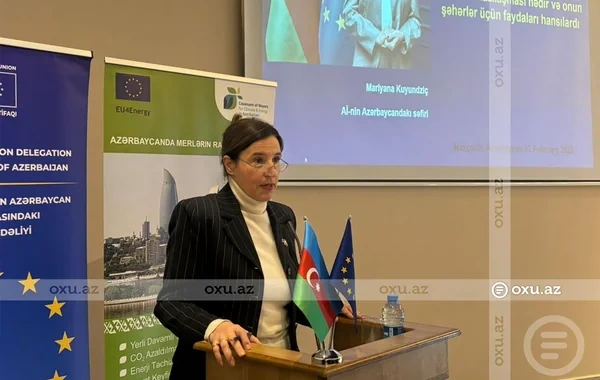 Məktəblərdə Günəş enerjisinə keçid: Səfirdən maraqlı təklif