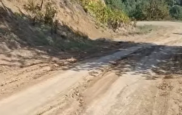 Lənkəranın üç kəndini çətin vəziyyətdə qoyan yol problemi - Video