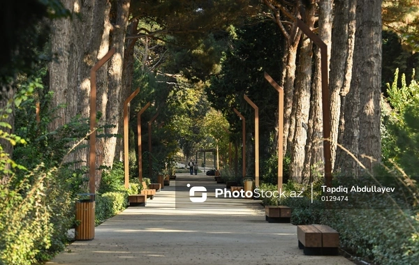 İstirahət və idmanın vəhdəti: Bakıda multifunksional park inşa olunacaq