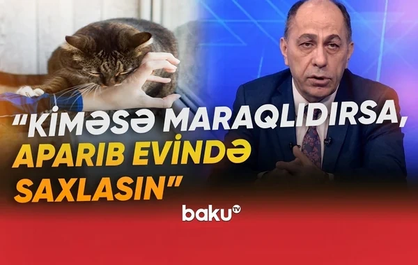 Dörd yaşlı uşağın quduzluğa yoluxması həyəcan yaratdı: Həkimdən ciddi XƏBƏRDARLIQ - VİDEO