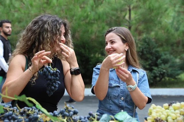 Şamaxıda Üzüm və Şərab Festivalı başlayıb - Foto - Video
