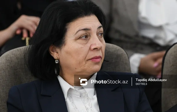 Sayalı Sadıqova: "Dildəki bütün alınma sözləri azərbaycanlaşdırmaq qeyri-mümkündür"