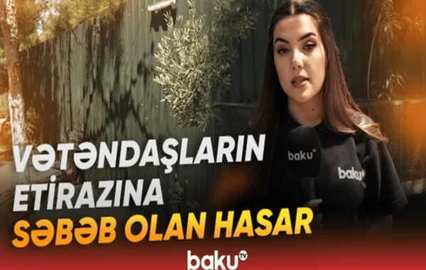 Binədə meşə fonduna aid ərazi zəbt edilib? - VİDEO