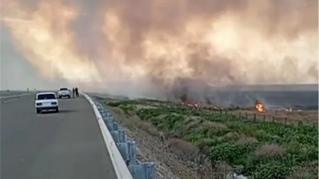 Sarıcalı kəndi yaxınlığında açıq ərazidə YANĞIN BAŞLAYIB - FOTO