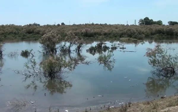 Kürdə suyun səviyyəsi artmaqda davam edir: Sahilboyu kəndlər TƏHLÜKƏDƏ - VİDEO