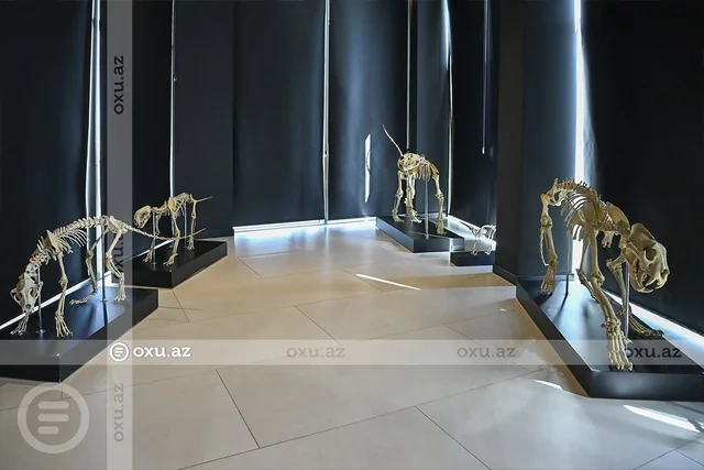 Xarici turistlərin ən çox üz tutduğu məkanlardan birində ECAZKAR GÖRÜNTÜLƏR - FOTO