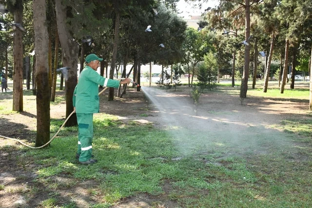 Bakıda növbəti irimiqyaslı iməcilik keçirilib - FOTO