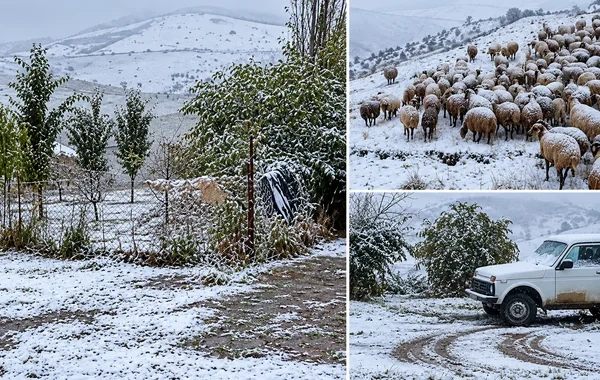 Quba və Qusara qar yağır - Foto/Video