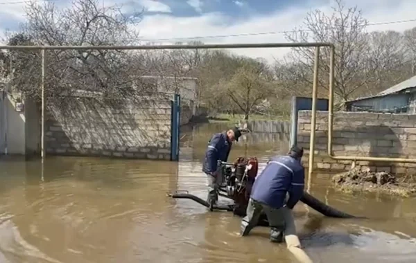 Bakı, Abşeron və Xaçmazda suçəkmə işləri həyata keçirilir - VİDEO