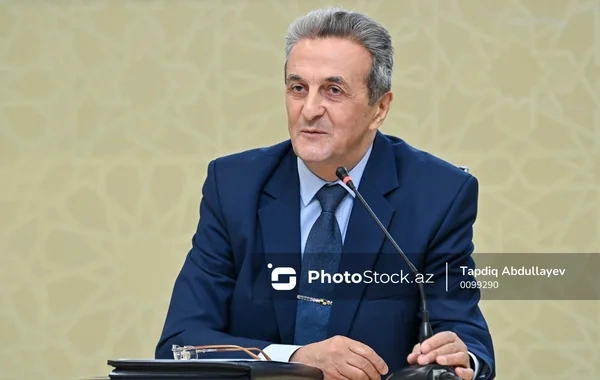 Nüsrət İbrahimov: "Bəzi dövlət qurumları statistik məlumatları açıqlamaqdan çəkinir"