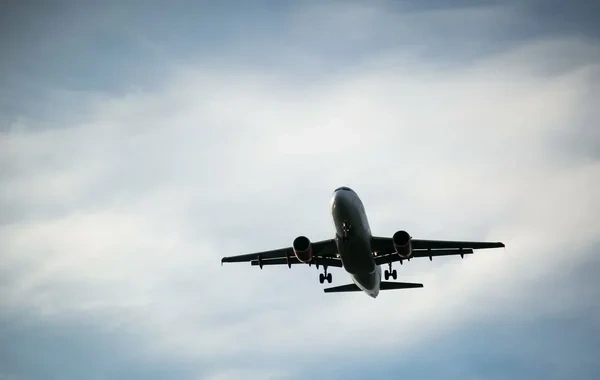 Novosibirskdən Bakıya uçan təyyarə təcili eniş etdi