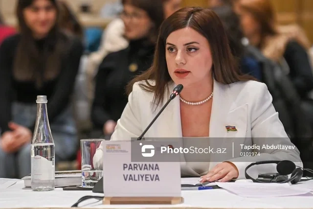 Almaniya bazarında Azərbaycan imzası: 2045-ci ilədək nələr olacaq?
