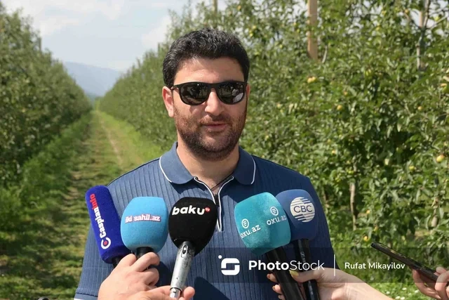 100 hektar yeni bağ, minlərlə ton məhsul: Şimal regionun aqrar potensialı artır - FOTO - VİDEO
