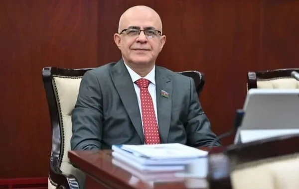 Elçin Mirzəbəyli: "Altı il əvvəl Ağsudakı zəlzələdə zərər görən 477 ev hələ də təmir edilməyib"