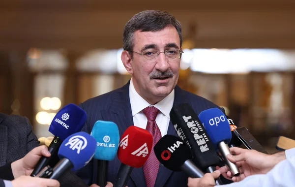 Əli Əsədov Cevdet Yılmazla görüşəcək