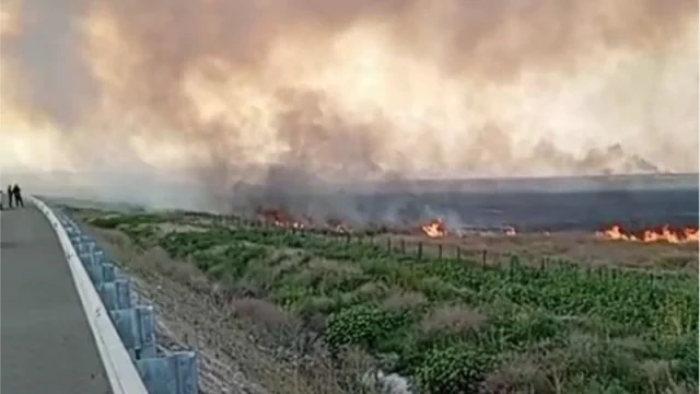 Sarıcalı kəndi yaxınlığında açıq ərazidə YANĞIN BAŞLAYIB - FOTO