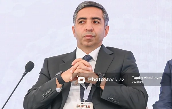 Nazir müavini aqrar sahədəki son 10 illik artım dinamikasını AÇIQLADI