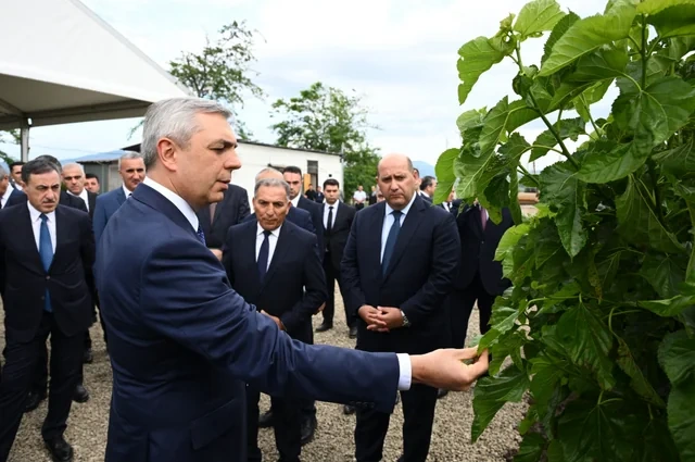 Xocalıda baramaçılığın inkişafı üçün yaradılmış infrastruktura baxış keçirilib