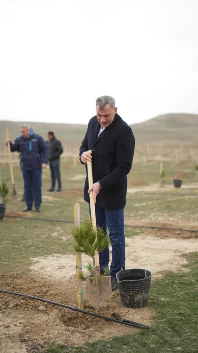 "Avto Azərbaycan"ın 30 illik yubileyi yaşıl təşəbbüslə qeyd olundu: 300 ağac əkildi
