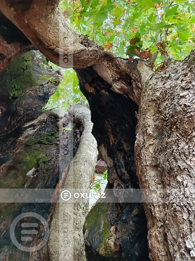 Tarixin yaşadığı küçələr, unudulmayan sənətlər: Basqal və Lahıcdan reportaj - Foto/Video