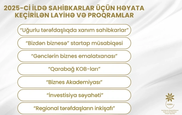 2025-ci ildə sahibkarlar üçün bir sıra layihə və proqramlar icra edilib