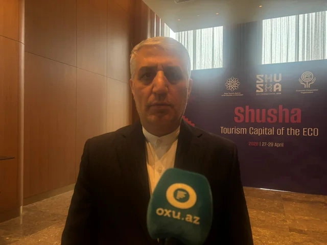 Səfir: "Naxçıvana dron hücumu ekspertlər qrupu tərəfindən araşdırılır" - FOTO