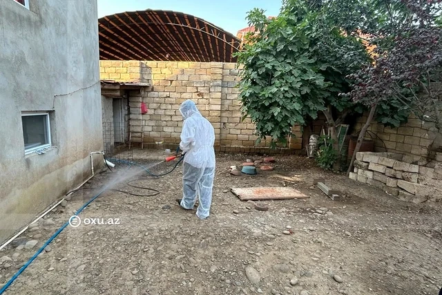 AQTA cənub bölgəsində quş tələfatı ilə bağlı araşdırmaya başladı - FOTO