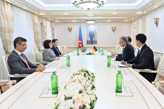 Milli Məclisin sədri Sahibə Qafarova Almaniyanın Azərbaycandakı səfiri ilə görüşüb - FOTO