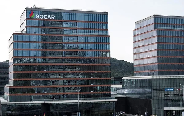 Türkiyədəki elektrik stansiyası SOCAR-ın törəmə şirkətinin tərkibində fəaliyyətə başlayıb - VİDEO