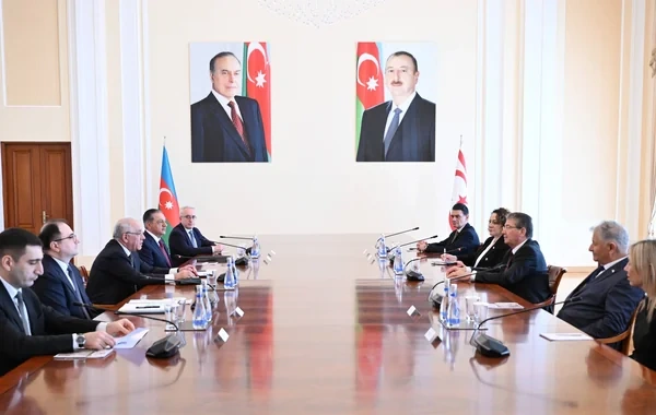 Əli Əsədov Şimali Kipr Türk Cümhuriyyətinin baş naziri ilə görüşdü