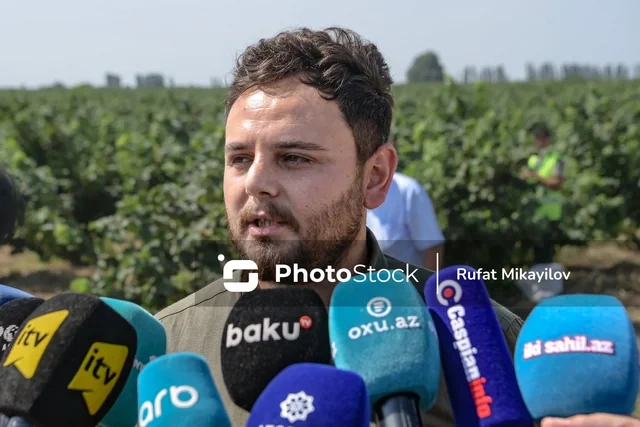 100 hektar yeni bağ, minlərlə ton məhsul: Şimal regionun aqrar potensialı artır - FOTO - VİDEO