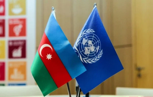 BMT-nin iclasında qadınların zorakılıqdan müdafiəsi ilə bağlı Azərbaycanın təcrübəsi paylaşılıb