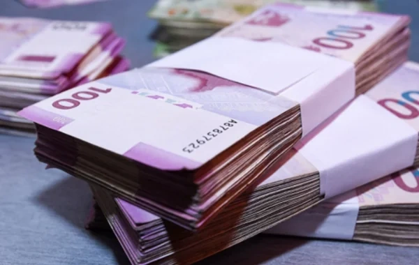 Azərbaycanda QHT layihələri "bir pəncərə" prinsipi ilə maliyyələşdiriləcək