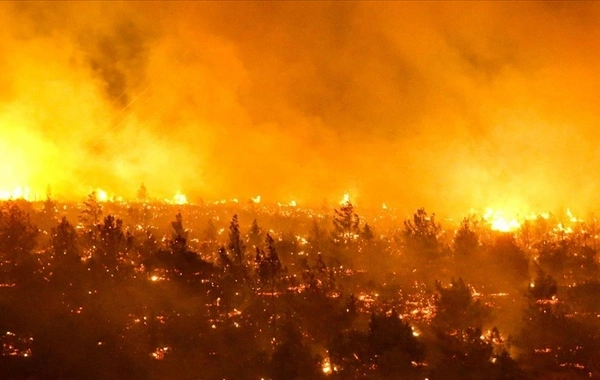 Çilini meşə yanğınları bürüyüb - Azı 18 nəfər ölüb