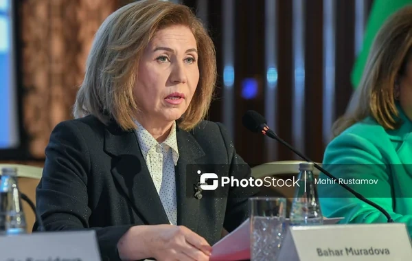 Komitə sədri məişət zorakılığı statistikasını açıqladı - Ötən il neçə mühafizə orderi verilib?