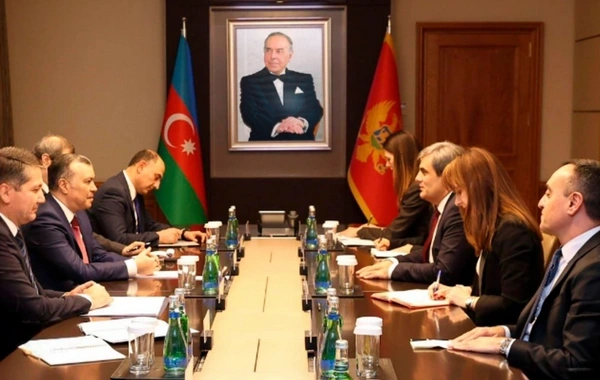 Monteneqro şirkətləri sənaye zonalarında investisiya imkanlarından yararlanmağa dəvət olunub