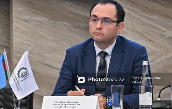 Məcnun Məmmədov Salyan və Qəbələdəki torpaq konsolidasiyası işlərindən danışdı