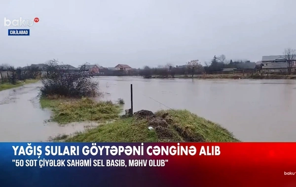 Cəlilabadda əkin sahələri su altında qalıb: "Bir azdan küçələri də sel basacaq"