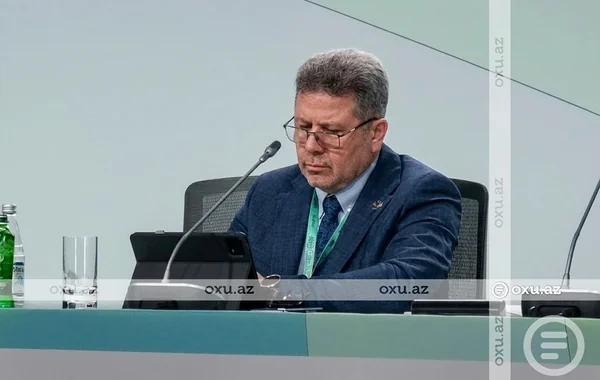 Nazir müavini: "Suriya hökuməti milyonlarla insanı düşərgələrdən çıxarmağı planlaşdırır"