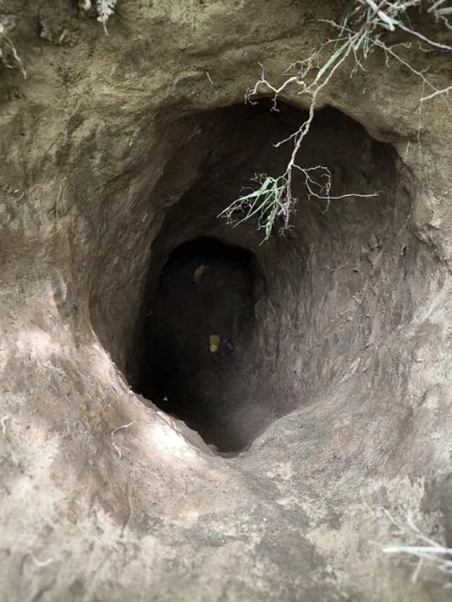 Yeraltı tunellə Litvadan Belarusa keçməyə cəhd edən miqrantlar saxlanıldılar - FOTO - VİDEO
