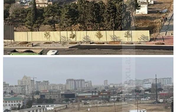 Ağ Şəhərdə ağacların kütləvi kəsilməsinə dövlət qurumundan münasibət: "Ağır texnika ilə məhv edilib"